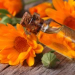 Calendula: 30 Incredible Benefits & Everyday Uses