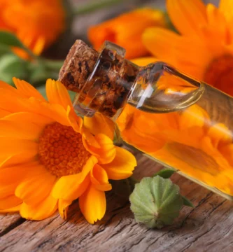 Calendula: 30 Incredible Benefits & Everyday Uses
