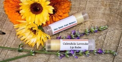 How to Make Calendula Lavender Lip Balm at Home