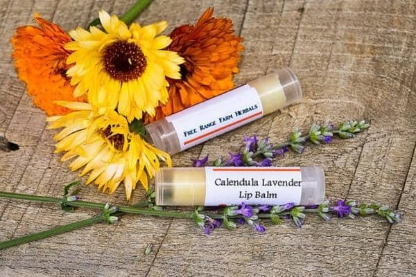 How to Make Calendula Lavender Lip Balm at Home