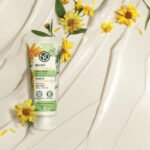 5 Natural Health Essentials You Should Always Have in Your Medicine Cabinet